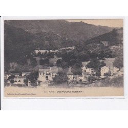COGNOCOLI-MONTICHI: vue générale