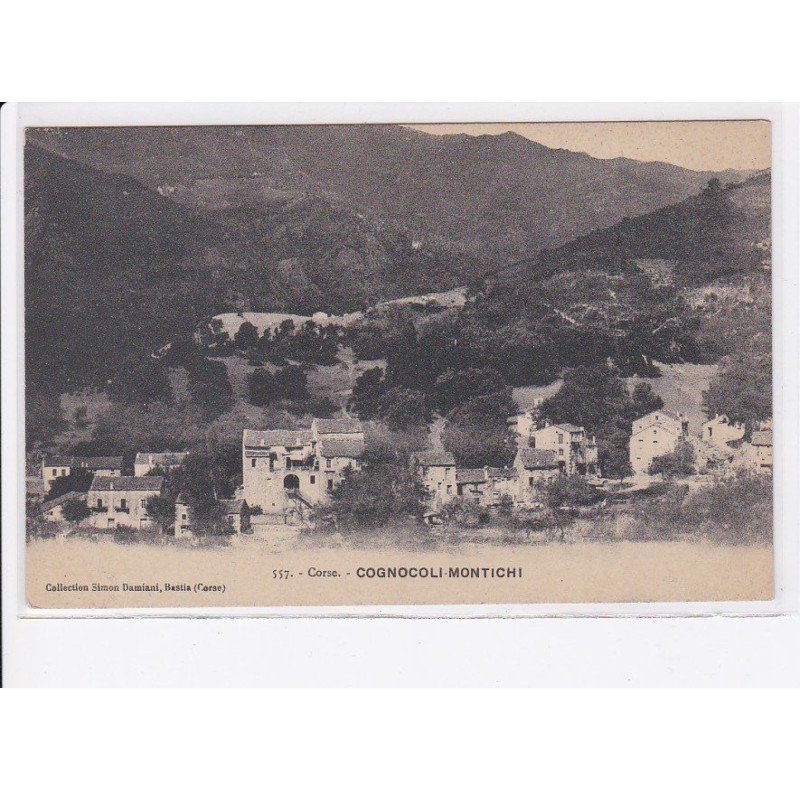 COGNOCOLI-MONTICHI: vue générale