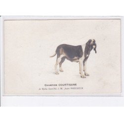 environs de COURVAS: chasse à courre, champion courtisane du rallye saint-dié, à M. André Prêcheur - très bon état
