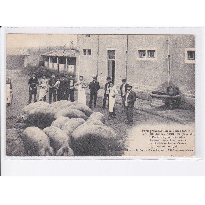 SAINT-DIDIER-sur-ARROUX: porcs provenant de la ferme garnier destinés aux charcutiers - très bon état