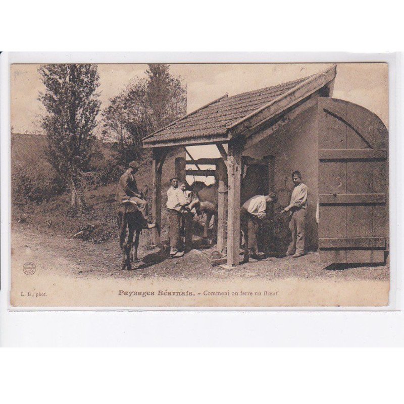 PYRENEES-ATLANTIQUES: paysages béarnais, comment on ferre un boeuf, ferrage - très bon état