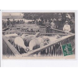 SANCOINS: le champ de foire aux moutons - très bon état