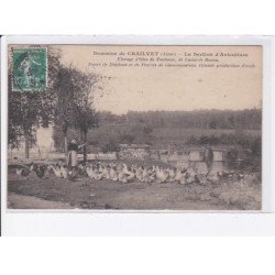 CHAILVET: domaine, la section d'aviculture élevage d'oies de toulouse de canards rouen - très bon état