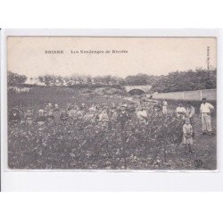 BRIARE: les vendanges de rivotte vue aérienne 10x15 - très bon état