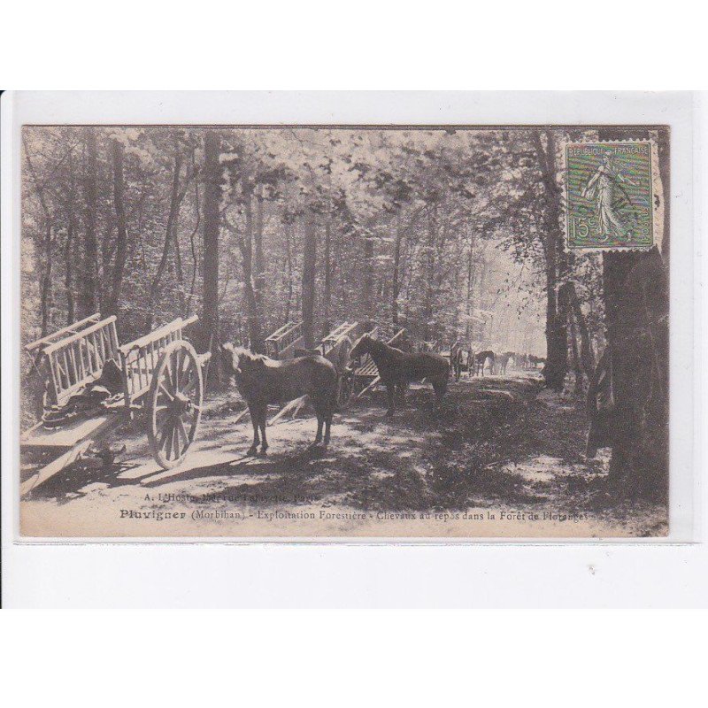 PLUVIGNER: exploitation forestières, chevaux au repos dans la forêt de floranges, bois - très bon état