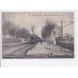 MONTILS-COLOMBIER: train, gare, trail - état