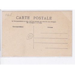CHARENTE MARITIME: types des charentes, un laitier, âne - très bon état