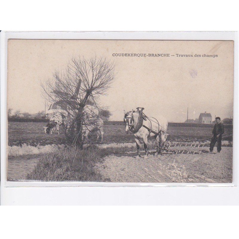 COUDEKERQUE-BRANCHE: travaux des champs, moulin, agriculture, vue aérienne 10x15 - très bon état