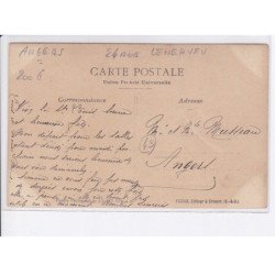 ANGERS: 24 rue lenepveu (?) compagnie singer maison fondée en 1850 - très bon état