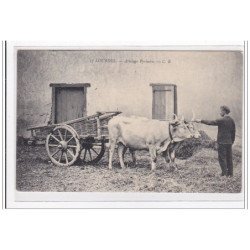 LOURDES : attelage pyrénéen - tres bon etat