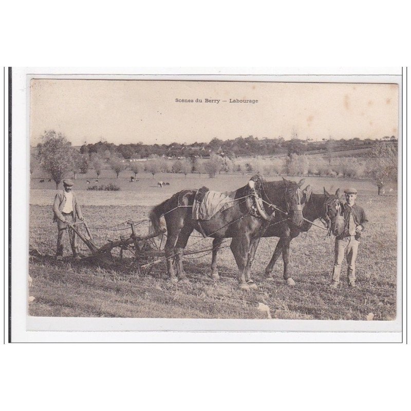 BERRY : scene du berry, labourage - tres bon etat