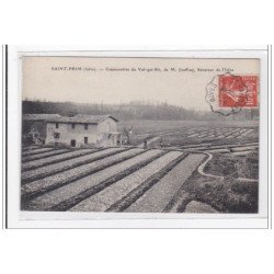 SAINT-PRIM : cressonniere du val-qui-rit - tres bon etat