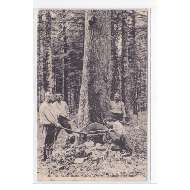 SALINS-les-BAINS : dans la foret, abatage d'un sapin - tres bon etat