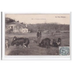 PYRENEES-ATLANTIQUES : troupeaux de chevres - tres bon etat