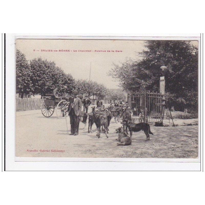 SALIES-de-BEARN : le chevrier, avenue de la gare - tres bon etat