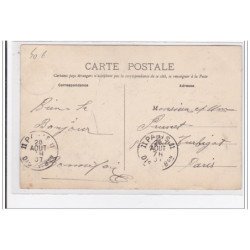 NEUFCHATEL-en-SAOSNOIS : theresa dans son jardin - tres bon etat