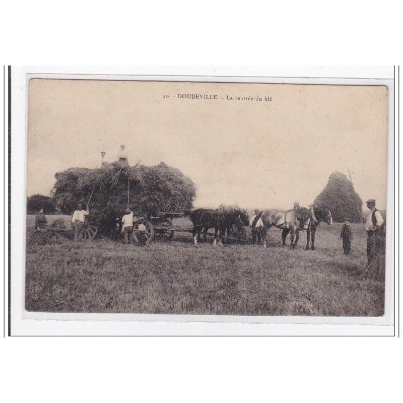 DOUDEVILLE : la rentrée du blé - tres bon etat