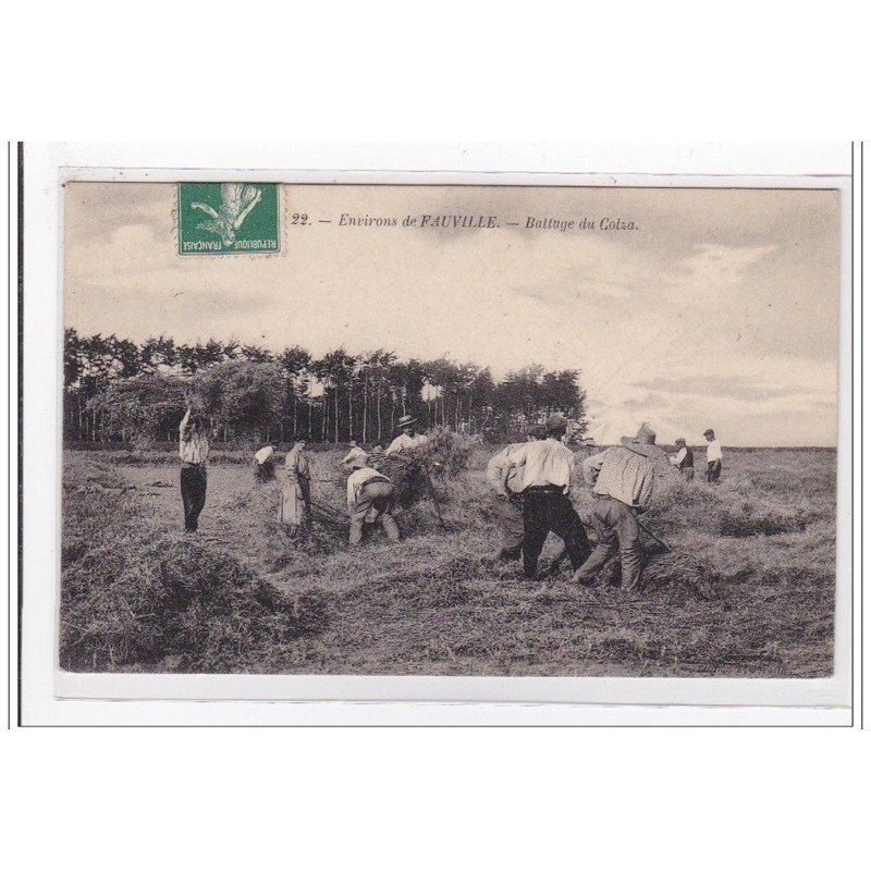 ENVIRONS DE FAUVILLE : bottage du colsa - tres bon etat