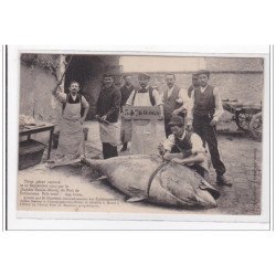 FOLKESTONE : thon geant capturé le 22 septembre 1910, 694lbs - tres bon etat