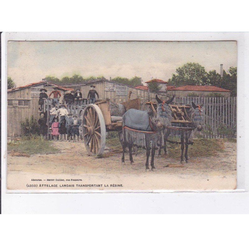 LANDES: attelage landais transportant la résine - très bon état