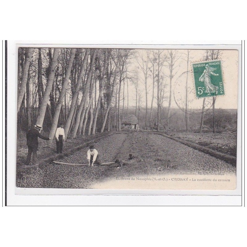 CRESSNAY : la cueillette du cresson - tres bon etat