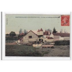 DRUVES-les-BELLES-FONTAINES : ferme et chateau du bouley (toillée) - tres bon etat