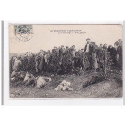 LE BEAUNOIS VERMENTON : la vendange - tres bon etat