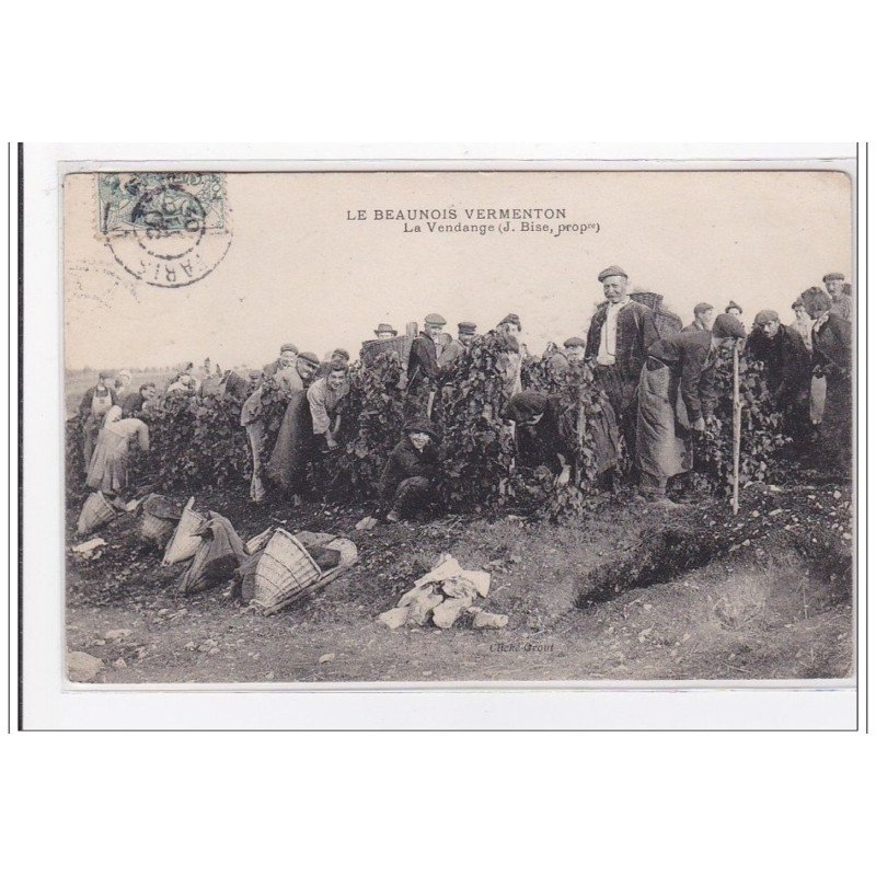 LE BEAUNOIS VERMENTON : la vendange - tres bon etat