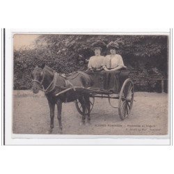 PLESSIS-ROBINSON : promenade en voiture - tres bon etat