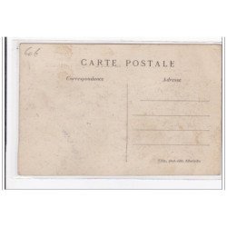 IVRY-PORT : 80, route de vitry, specimen de rosier C.F meyer - tres bon etat