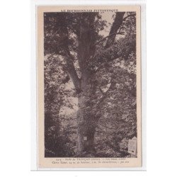 TRONCAIS : foret de troncais, les beaux arbres, chene dabat 24m de hauteur 5m de circonference 300 ans - tres bon etat