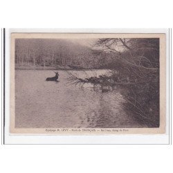 TRONCAIS : foret de troncais, bat l'eau, etang de pirot - tres bon etat