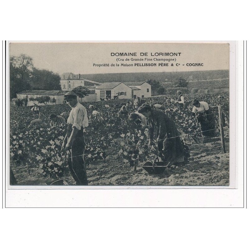 Domaine de LORIMONT : Propriété de la Maison pelisson père  Fils - COGNAC - très bon état