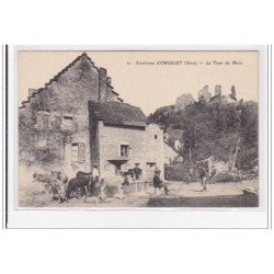 ENVIRONS D'ORGELET : la tour du meix - très bon état