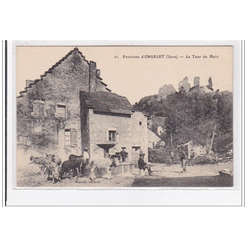 ENVIRONS D'ORGELET : la tour du meix - très bon état
