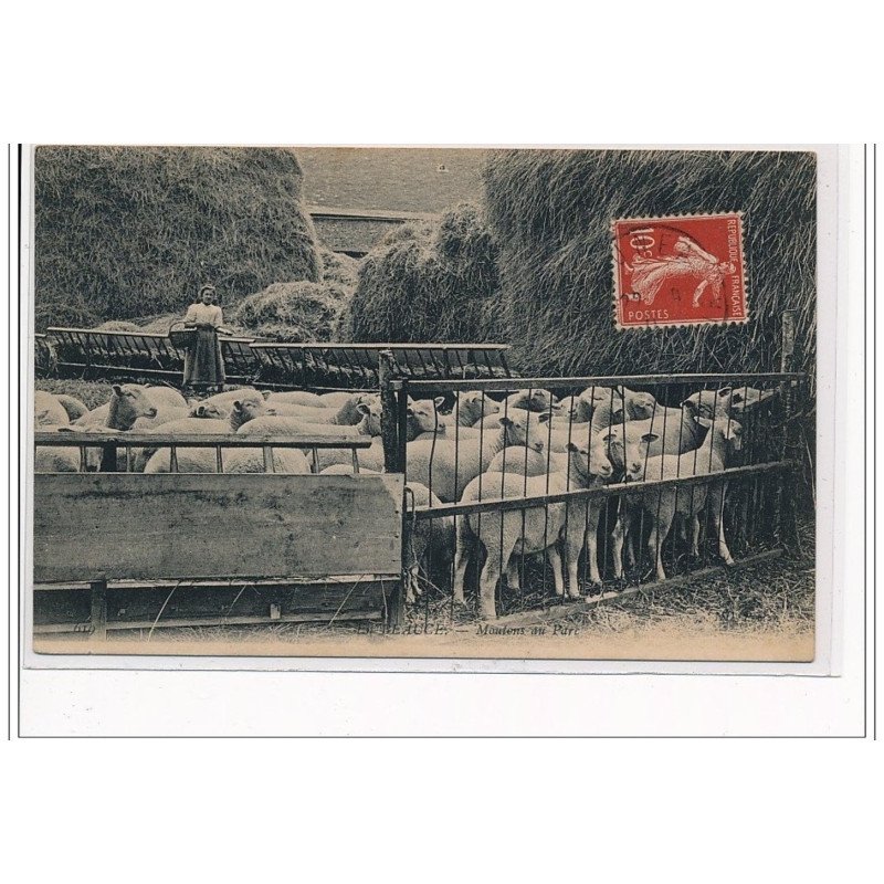 EN BEAUCE : Moutons au parc - très bon état