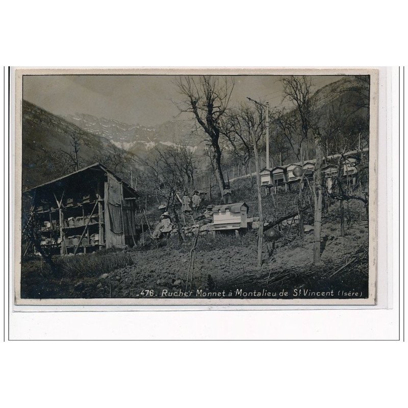 Rucher Monnet à MONTALIEU de SAINT VINCENT - APICULTURE - très bon état