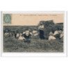 Environs de FAUVILLE : Batteurs de colza - la collation - très bon état