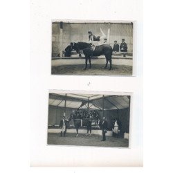 VERNON  - KERMESSE 1907 - Lot de 2 CARTES PHOTOS - LE CIRQUE STELLA - ECUYERE - CHEVAL - très bon état