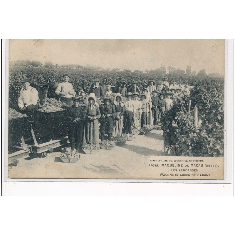 MAQUELINE DE MACAU - Les vendanges - Wagons chargés de raisins - très bon état