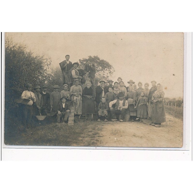 GIRONDE (?) - SCENE DE VENDANGES - CARTE PHOTO - très bon état