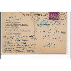 TOURS - Le chien """"Marquis"""" appartenant à la SPA de Tours - très bon état