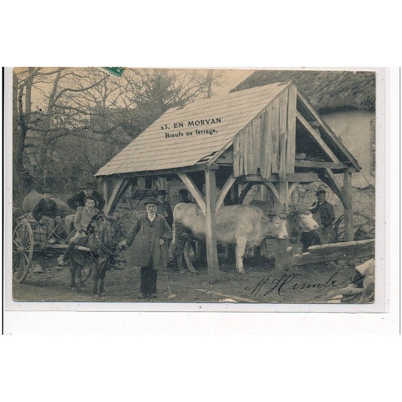 EN MORVAN - Boeufs au ferrage - très bon état