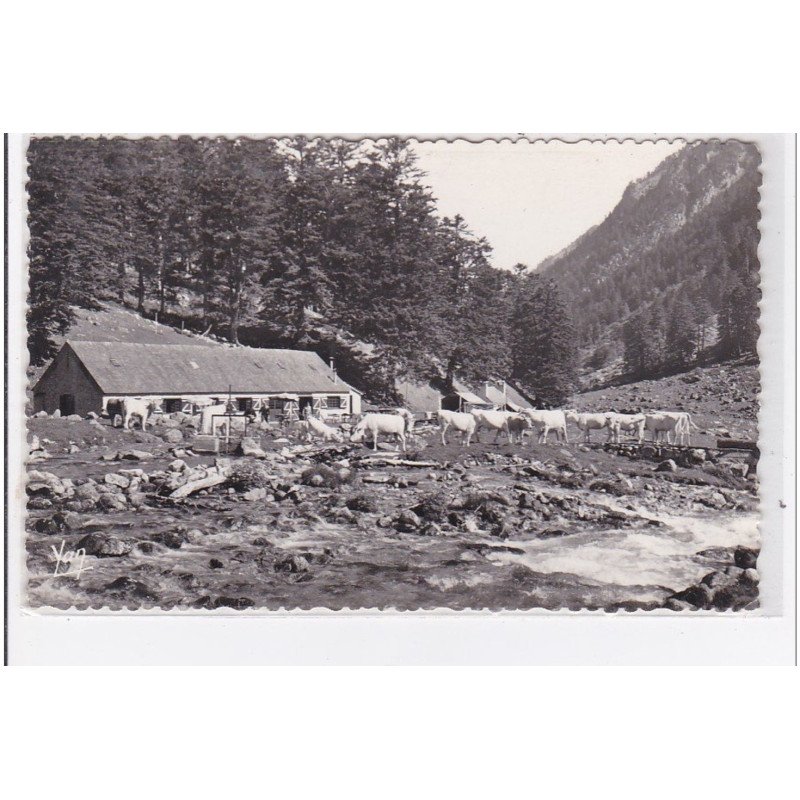 CAUTERETS : vallée de lutour, la fruitiere - tres bon etat