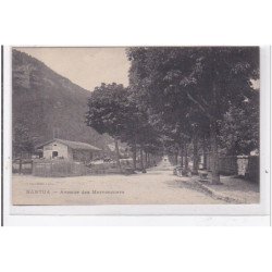 NANTUA : avenue des marronniers - tres bon etat