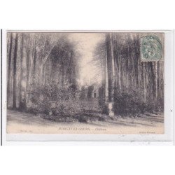MARIGNY-en-ORXOIS : chateau - tres bon etat