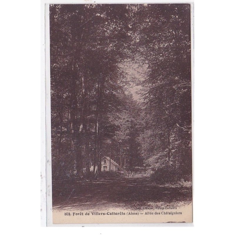 VILLERS-COTTERETS : foret, allée des chataigniers (passage a niveau) - etat VILLERS-COTTERETS : foret, allée des chataigniers (passage a niveau) - etat