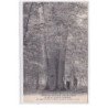 St-GOBAIN : foret de st-gobain, les quatres freres, chene de 4 tiges de 3 metres de tour - tres bon etat