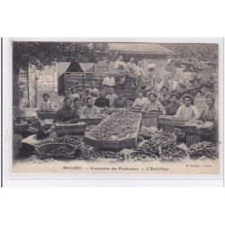 MILLERY : coopérative des Producteurs - l'emballage - très bon état