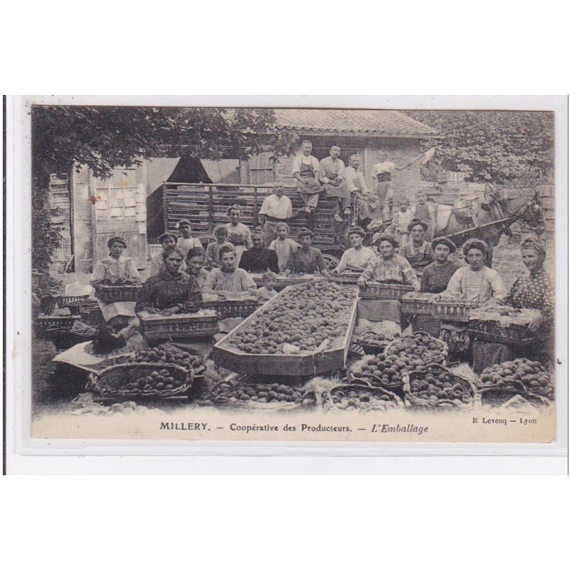 MILLERY : coopérative des Producteurs - l'emballage - très bon état